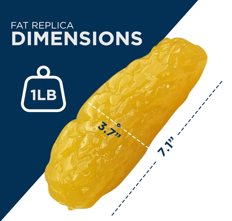 Human Body Fat Replica 1lb